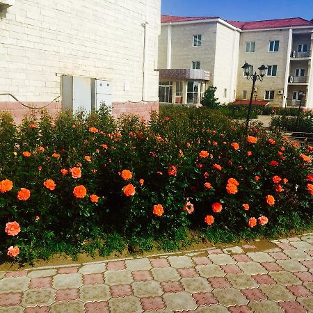 Hotel Ark Ms Taraz Extérieur photo