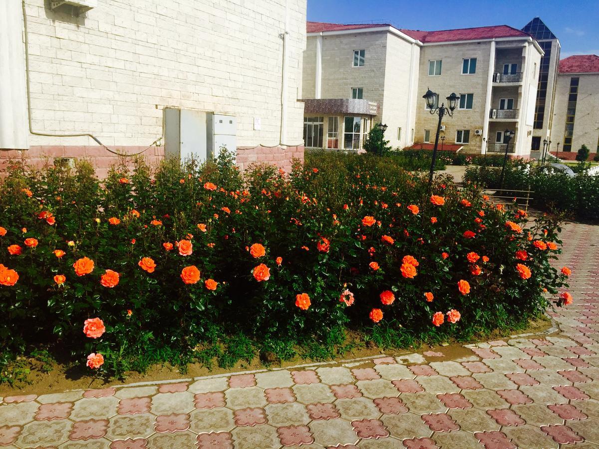 Hotel Ark Ms Taraz Extérieur photo