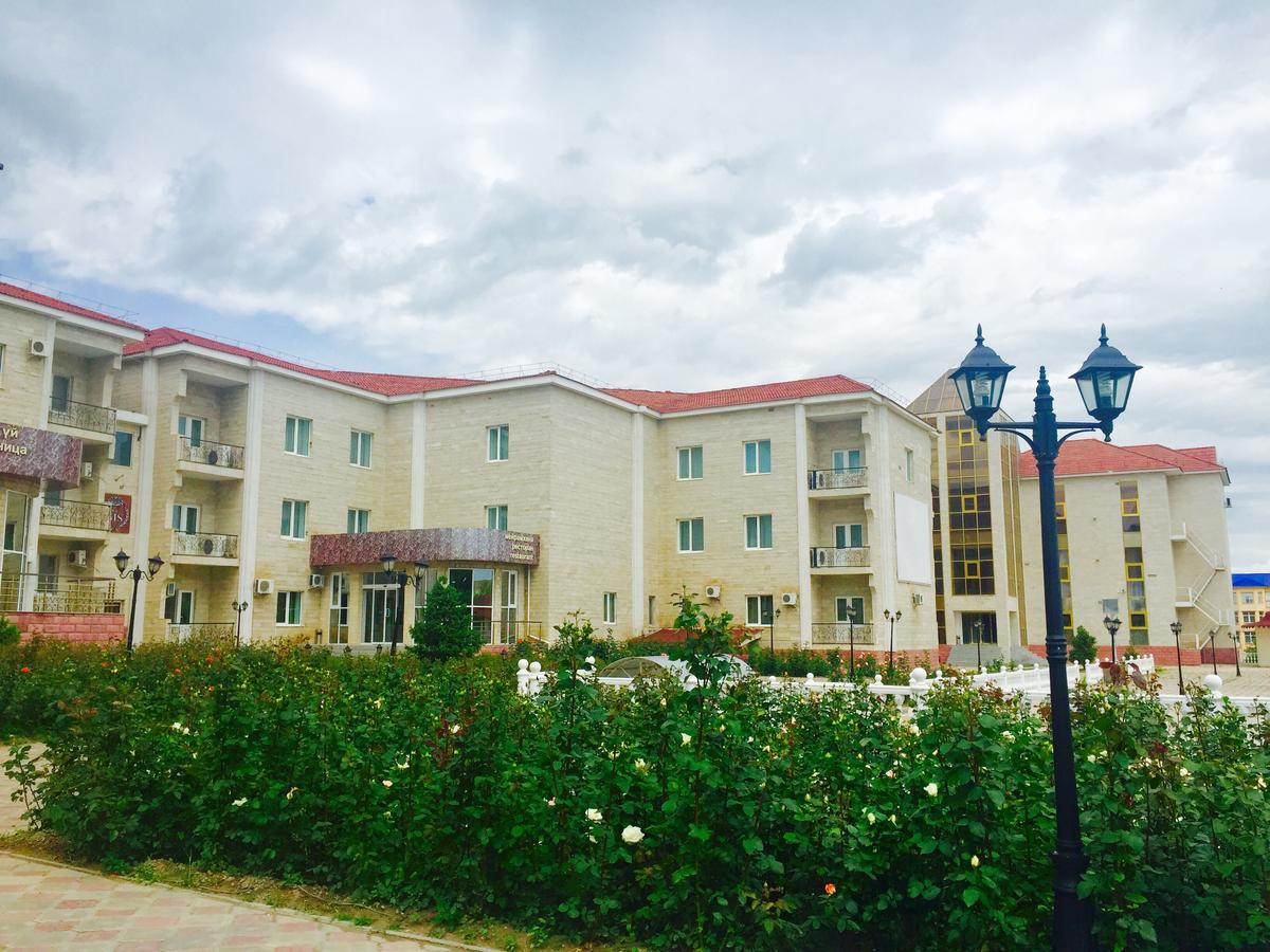 Hotel Ark Ms Taraz Extérieur photo